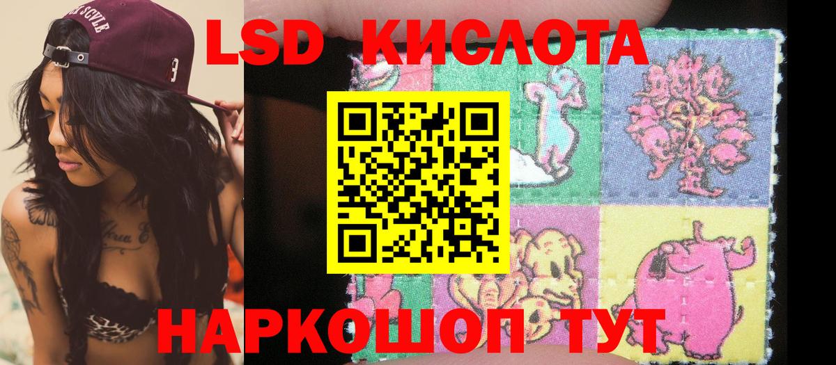 Гусев  Наркотические марки 1,8мг  Наркотические марки  Вход с VPN 