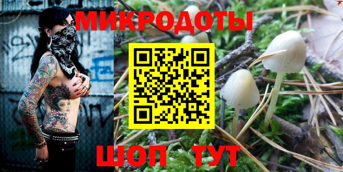 Галлюциногенные грибы GOLDEN TEACHER  Вход с VPN  Гусев 